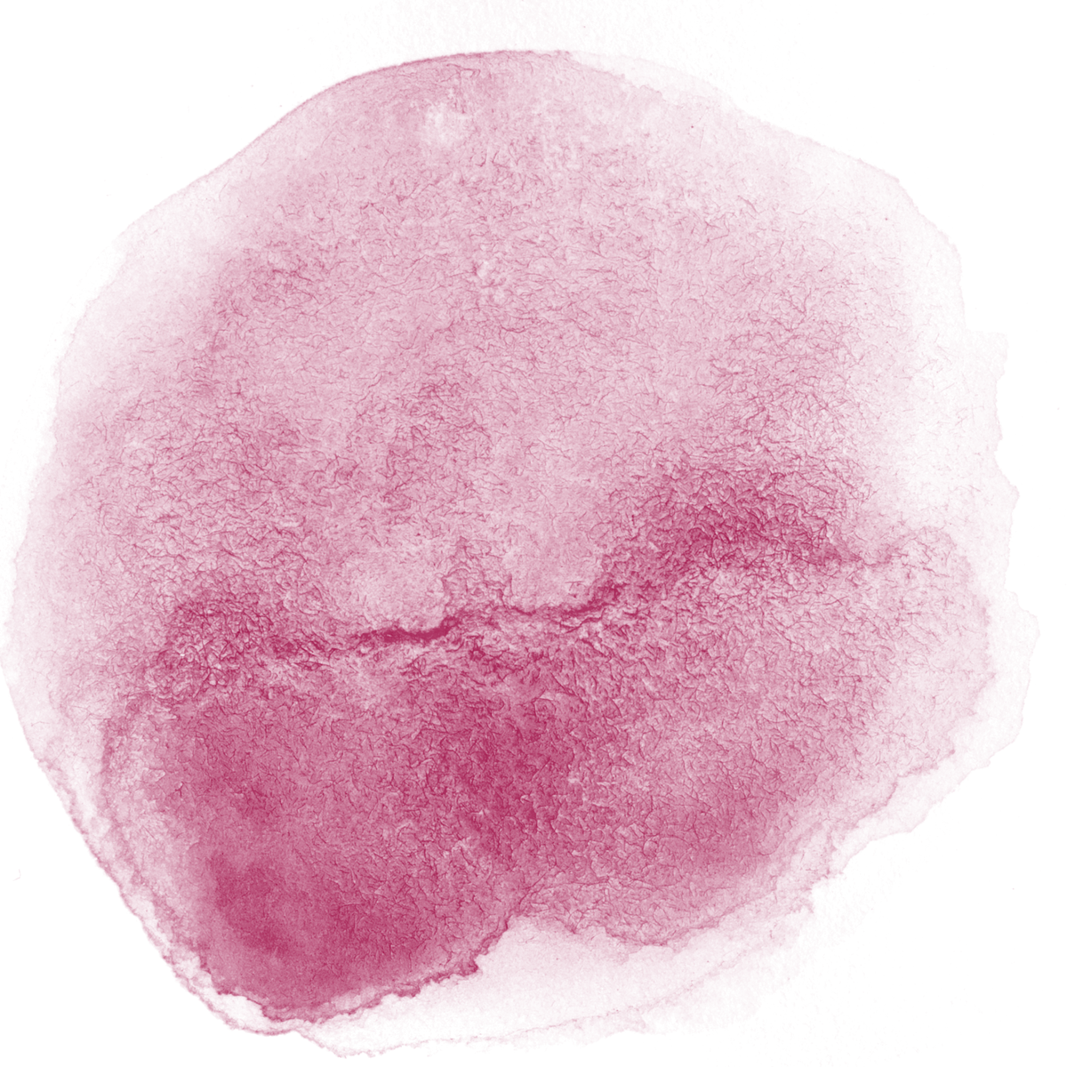 Red Wine Abstract Watercolor Stain